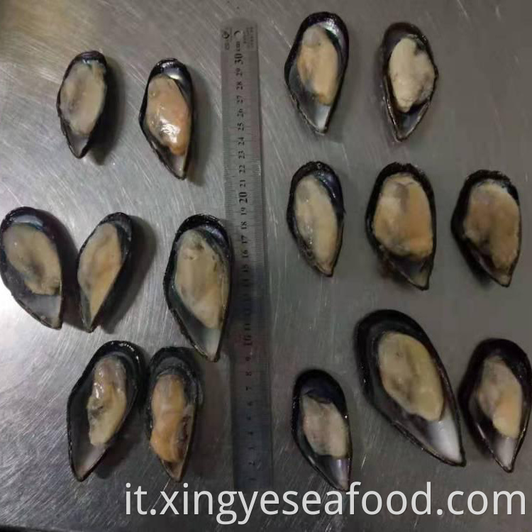 Half Shell Mussel